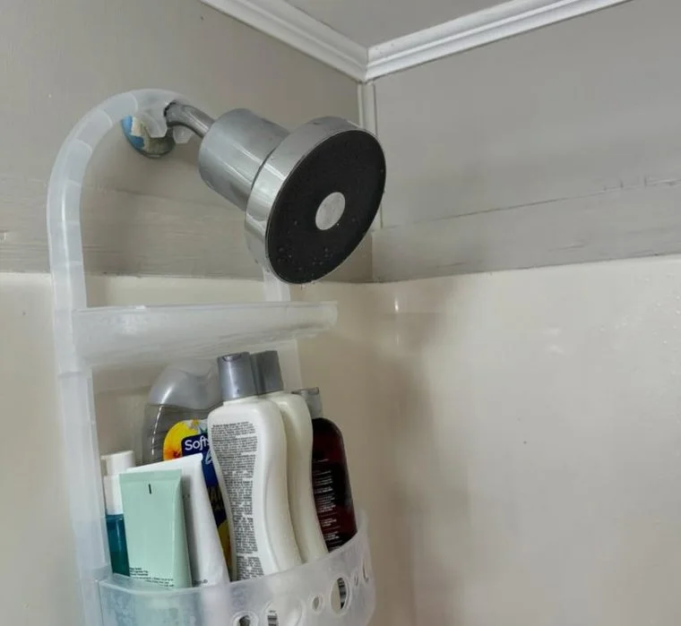 Jolie Filtered Showerhead